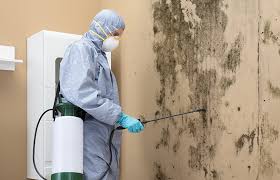 Best Residential Mold Inspection & Testing  in Rainbow Springs, FL